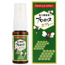 森川健康堂 プロポリススプレー 20ml (20ml)×2