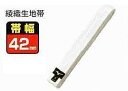 白帯 MIZUNO 22JV9A4701 空手 柔道 綾織生地 ミズノ