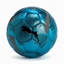 PUMA サッカーボール4号 CAGE ボール HS 084865 03 検定球 プーマ