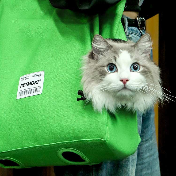【送料無料】軽量 帆布 ねこ レディース ねこ ねこ キャンバス キャリー トートバ...