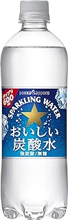 サッポロ おいしい炭酸水 600ml×24本