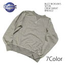 BUZZ RICKSON'S バズリクソンズ SET IN CREW NECK SWEAT SHIRT BR65622 前Vガゼット 送料無料 日本製 エアフォース ハーフジップ ヒノヤ HINOYA