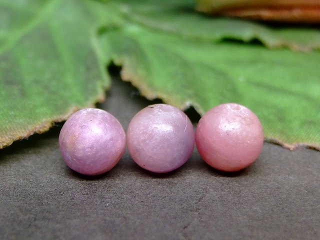 ��50409���8mm��A���ե����� ��ӡ���1γ�����ͥ��ݥ�����̵�����٥ȥʥ໺��ŷ���С��ѥ���ȡ���