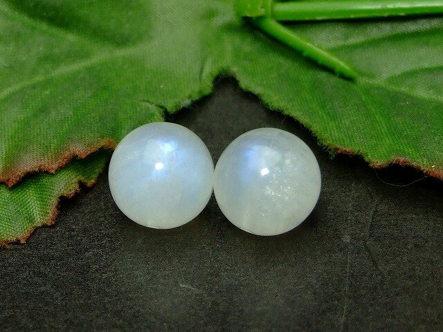 ��g3-249H��12mm �õ� �ࡼ�󥹥ȡ��� 1γ��� ���̺� ��ʪ�ݾ� ����̵��ͭ ��ŷ�ǰ��ͤ�ĩ�� ����ɻ� ŷ���� �ѥ���ȡ���