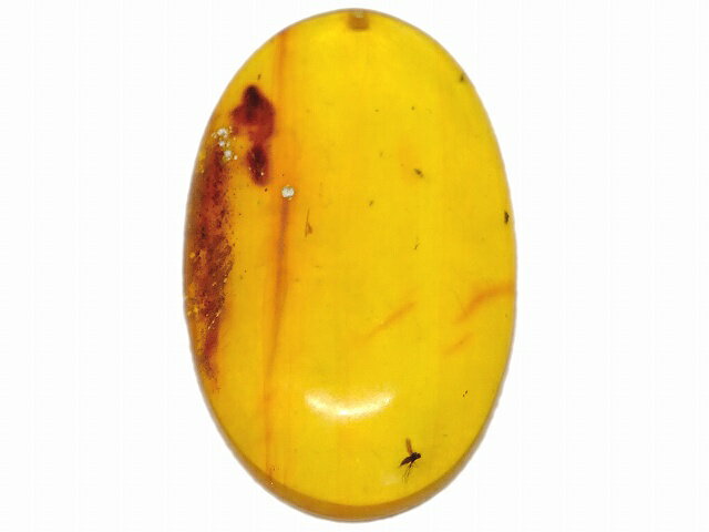 67676　　今月の半額 わけあり 虫入り アンバー 琥珀 44mm×26mm 1個売り ルース 裸石 穴あり ペンダントトップ 送料無料 メキシコ産 天然石 パワーストーン