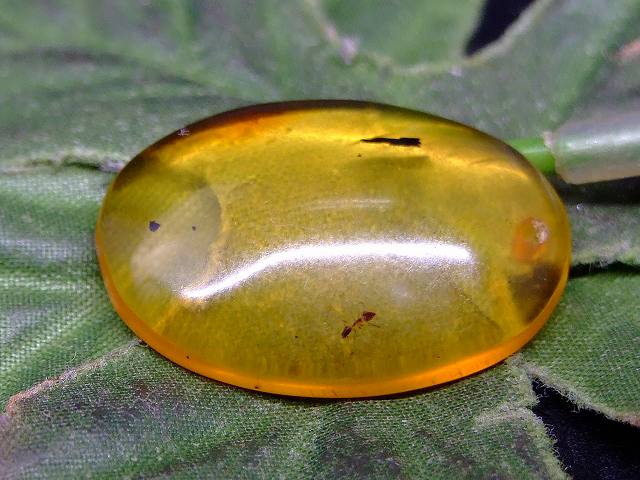 67677　　虫入り アンバー 琥珀 26mm×18mm 1個売り ルース 裸石 穴あり ペンダントトップ 送料無料 メキシコ産 天然石 パワーストーン