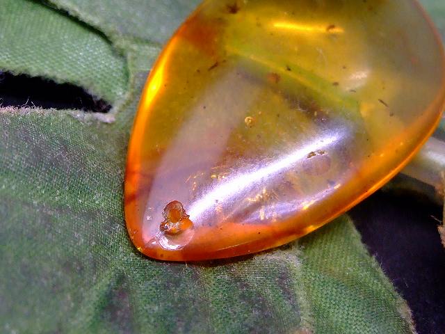 67686　　今月の半額 わけあり 虫入り アンバー 琥珀 34mm×22mm 1個売り ルース 裸石 穴あり ペンダントトップ 送料無料 メキシコ産 天然石 パワーストーン