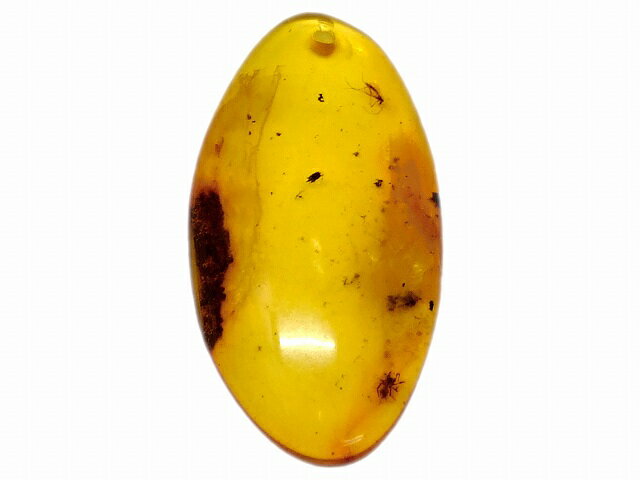 67700　　今月の半額 わけあり 虹入り 虫入り アンバー 琥珀 33mm×18mm 1個売り ルース 裸石 穴あり ペンダントトップ 送料無料 メキシコ産 天然石 パワーストーン