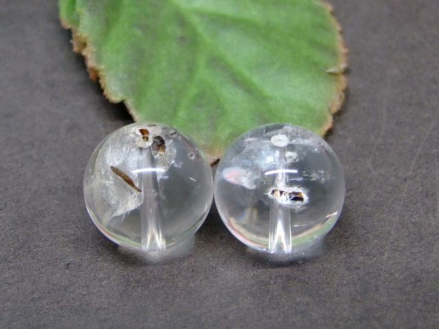 60183Ⱦ ʪ 徽 14.5mm 2γå ꥹ  ̵ ֥饸뻺 ŷ ѥȡ