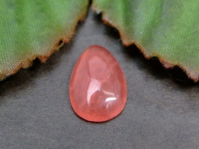 64315　　今月の半額 わけあり アイ�