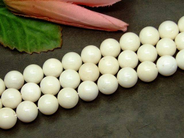 65109　　今月の半額 わけあり 10mm 白珊瑚 サンゴ コーラル 1連39cm 通し針、解説書、1mゴム付き 送料無料 アフリカ産 天然石 パワーストーン