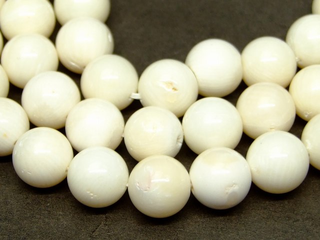 65109　　今月の半額 わけあり 10mm 白珊瑚 サンゴ コーラル 1連39cm 通し針、解説書、1mゴム付き 送料無料 アフリカ産 天然石 パワーストーン