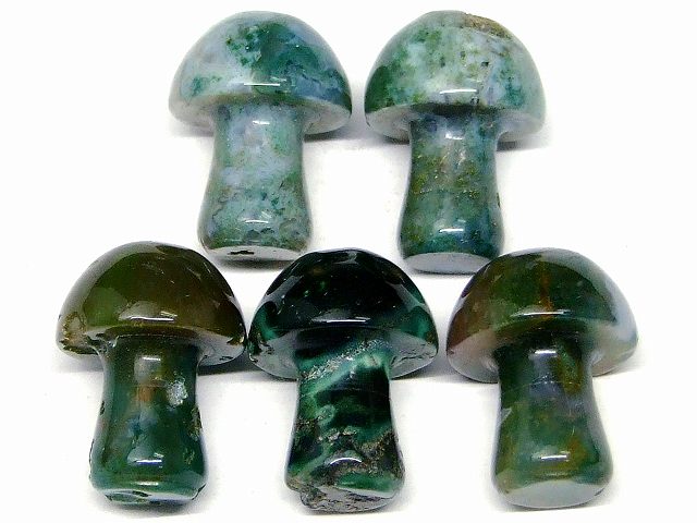 66534　　今月の半額 わけあり モスアゲート 苔瑪瑙 21mm×15mm×9mm 5個セット きのこ キノコ ネコポス..