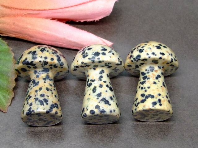 k3-100C　　今月の半額 わけあり ダルメシアンジャスパー 35mm×25mm 1個売り きのこ キノコ ネコポス送料無料 天然石 パワーストーン