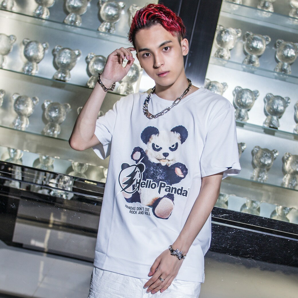 【ラッピング無料】【メンズ】【公式】ハイパンダ HIPAND ロック リアルパンダ プリント Tシャツ サステナブル おしゃれ かっこいい ギフト 半袖 春 夏 夏物 春物 クルーネック コットン 綿 100％ 白Tシャツ カットソー ロゴ 白 黒 大きいサイズ XXL LL XL