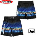 リバーサル LFYT x reversal NYC FIGHT SHORTS (BASIC LENGTH / with POCKET) ラファイエット スイムウ...