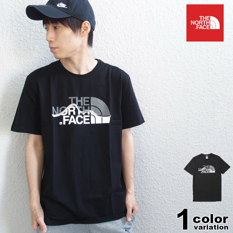 ノースフェイス Tシャツ THE NORTH FACE ハーフドーム ロゴ 半袖 カットソー M S/S MOUNTAIN LINE TEE ロゴT メンズ レディース NF00A3G2 EUライン 【あす楽対応】 【メール便対応】【2020 新作】