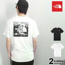 ノースフェイス Tシャツ THE NORTH FACE ボックスロゴ 半袖 カットソー RED BOX CELEBRATION TEE ロゴT メンズ レディース NF0A2ZXE EUライン 【あす楽対応】 【メール便対応】