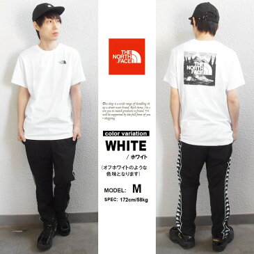 ザ ノースフェイス THE NORTH FACE Tシャツ 半袖 メンズ レッド ボックス ロゴ ( the north faceRED BOX CELEBRATION TEE ティーシャツ T-SHIRTS NF0A2ZXE ザ・ノース・フェイス THE・NORTHFACE EUライン] 【あす楽対応】 【メール便対応】【2020 新作】