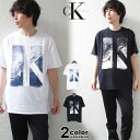 カルバンクライン Tシャツ 半袖 Calvin Klein Tシャツ SS GRAPHIC TEE メンズ (calvin klein tシャツ トップス 40MC833) 【あす楽対応】 【メール便対応】