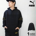 プーマ パーカー プルオーバー PUMA WINTERIZED フーディー スウェット (puma パーカー スウェット ブラック 裏起毛 848255) 