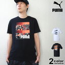 PUMA v[}  TVc SUMMER VIBE TVc (puma tVc zCg ubN 849742 V) yyΉz y[֑Ήz