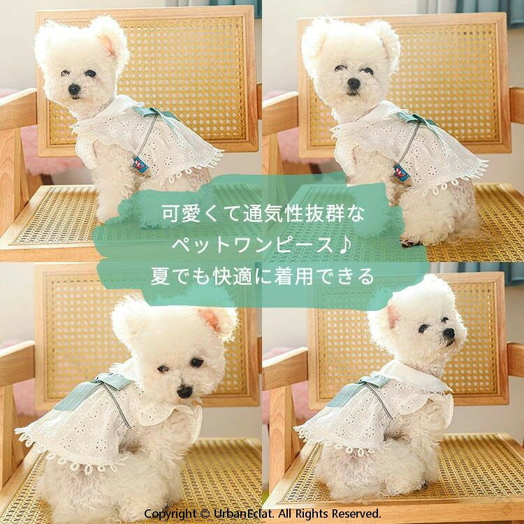 商品説明商品名犬・猫・うさぎに着せるペット服は寒さ対策・汚れ防止・抜け毛対策になり人気があります。通気性抜群に優れ素材で、夏でも快適に着用することができます。毎日一緒に生活する愛犬が自宅でも散歩中でも、外出先でもこんなオシャレな服を着せると、注目を浴びるアイテムに間違いなし。夏でも外遊び大好きなワンちゃんに、可愛いサマーウエアは欠かせません♪♪♪チワワ、トイプードル、テリア、マルチーズ、パピヨン、ポメラニアン、ミニチュアなどの小型犬に適用します。素材ポリエステル生産国中国セット内容ドッグウエア注意PC環境・光の具合により、色や素材のイメージが写真と若干異なる場合がございます。モデル・写真に使用されているアクセサリー・小物は別途記載が無い限り付属いたしません。商品に不良があった場合は、商品到着から5日以内にご連絡いただければご返金・交換対応させて頂きます。商品のサイズは、全て平置きにて外寸を測定しております。商品によっては+-0.5cm〜1cmの誤差が発生してしまう場合がございます。該当商品は他店と在庫共有です。タイミングにより、在庫ズレが生じる場合がございます。予めご了承ください。 .犬服 猫服 ワンピース ペットウエア 春 夏 通気 柔らかい 超可愛い 爽やか 仮装 いぬ ねこ 小型犬 中型犬 犬用 スカート 着脱簡単 犬洋服 韓国風 お散歩 お出かけ 写真撮影 袖なし 薄手 お姫様 ドレス XS S M L XL 夏服 春服 ペット服 犬用服 猫用服 犬用品 ドッグウェア 快適 軽量 衣装 伸縮性 速乾 抗菌 防臭 プレゼント ギフト 散歩用 普段着 室内着 冷感 クール 暑さ対策 おしゃれ ファッション かわいい 人気 トレンド スタイリッシュ 快適服 お姫様風 犬 洋服 春夏 秋冬 長袖 半袖 素材 綿 素材 夏用 春用 薄手服 着脱簡単 使いやすい。 指定された配送時間は承っておりません。【LUMILIFE】