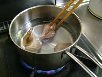 つぶ 活ツブ 【真ツブ 250g前後-5個】「送料無料」お花見 母の日 父の日 お中元 お歳暮 ギフト