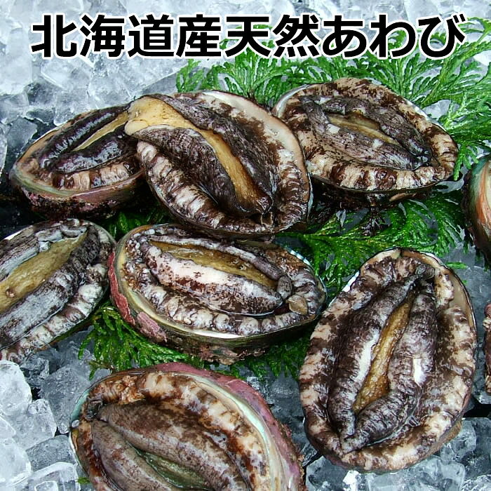 北海道産 天然あわび【冷凍アワビ 1個-100g前後-10個入り 】 「送料込み」鮮度が良いのでお刺身でも、煮物でも、焼いてもOK！