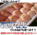 ホタテ ほたて 【活ホタテ貝柱 約400g-15粒前後(大)】 【送料込み】 生ほたて貝柱 お刺身 帆立貝柱 航空便翌日 お花見 母の日 父の日 お中元 お歳暮...