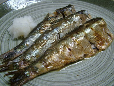 �˥��� �ˤ��󡡡ڥ˥�������̣ �ԥ��̣ 1���� ���ָ� ����� ����� ���渵 ������ ���ե�