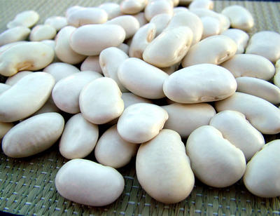 豆類 マメ まめ 白花豆　しろはなまめ　北海道産‐500g