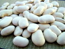 白花豆 豆類 マメ 【しろはなまめ 北海道産 500g2個入り】レターパックで送料込み