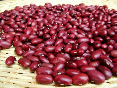 ●甘納豆でお馴染みの金時豆です！インゲン豆の仲間で冷涼な気候を好みます。 ■金時豆は6月上旬の種まきから9月の収穫まで約3ヶ月、北海道の短い夏に勢い良く発芽し、一気に成長します。 ■緑色のサヤが大きく膨らんだ後、徐々に乾燥して豆が赤紫色に染まってきます。 ■収穫時期を迎えた頃、気がかりな事は天気です。 雨に当たるとせっかく色付いたきれいな赤紫色があせてしまうからです。 北海道金時豆 北海道 1袋-500g2個入り 常温 6ヶ月 小手ぼう豆（こてぼうまめ） 注意事項 ・到着日、時間指定は出来ません。商品は2-3日前後で配送となります。 ・代金引換はできませんのでそれ以外のお支払い方法を選択ください。 ・通常発送商品と同梱はできません。同時購入された場合は別発送とさせていただきます ・通常宅配便の送料別商品を一緒に購入した場合送料は宅配便送料となります ・お届けは「ご在宅・ご不在に関わらず」お届け先のポストへ投函いたします。 ・ポスト投函後の紛失に関しましては、当店のサポート外となりますので、ご了承ください。　（畑の肉）とも呼ばれる豆類は、タンパク質やビタミンB1などのビタミン類や、カルシウムなどのミネラルを豊富に含み、特に食物繊維を多く含む食品の代表格です。
