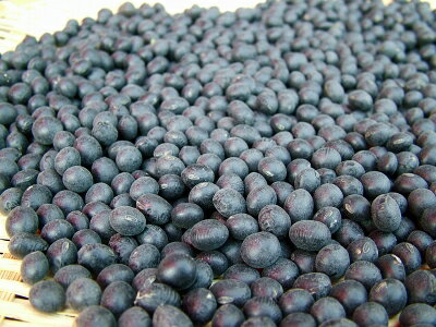 黒豆 豆類 【 黒大豆 　北海道産 500g2個入り1kg】レターパックで送料込み 2