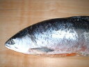 ギフト対応 ●冷凍生紅鮭は無添加でお刺身でも食べれます。鮭類の中でも最高の味を誇り、目にも鮮やかな真紅の身色を呈し肉質もしっかりしています。 ■養殖の魚との最大の違いは、天然ならではの臭みのない自然でしっとりとした脂がのり、 さらに栄養分（ミネラルやビタミン）が豊富に含まれています。 ■特上の紅鮭です、甘味や旨味、鮮度ならやっぱり"北洋産紅鮭です! 【同梱発送】10kg以内が1個口の送料になります。 冷凍生紅鮭 無添加 北洋産 ロシア産 冷凍生紅鮭1本‐2kg前後 冷凍3ヶ月 冷蔵5日 生紅鮭