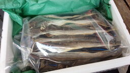 こまい コマイ 【乾燥コマイ 500g‐10本前後】 乾燥こまい 氷下魚 カンカイ （中）お花見 母の日 父の日 お中元 お歳暮 ギフト