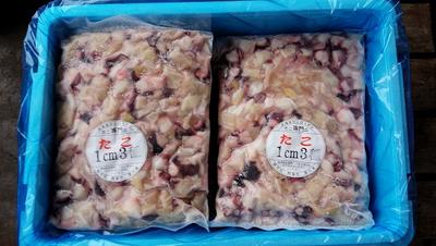 たこ タコ ミズタコ 【冷凍カットタコ ボイル 約1cm角1kg詰×18個18kg（足 頭 トンビ口 混合品）】「送料無料」たこ焼き タコ焼き お刺身 お花見 母の日 父の日 お中元 お歳暮 ギフト