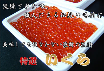 サケ 秋鮭 イクラ【いくら醤油漬 500g化粧箱 】レターパックで送料込み　イクラ醤油漬 　お花見 母の日 お歳暮 ギフト