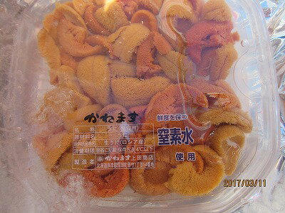 ウニ 生うに 【塩水ウニ 赤身 バフンウニ100g前後】 送料込み 塩水うに がんぜ お花見 母の日 父の日 お中元 お歳暮 贈答 ギフト