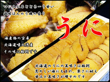 ウニ うに 生ウニ 【剥き身 板折詰 赤身1折-120g前後】 「送料無料」 エゾバフンウニ ばふんうに 寿司 お花見 母の日 父の日 お中元 お歳暮 ギフト