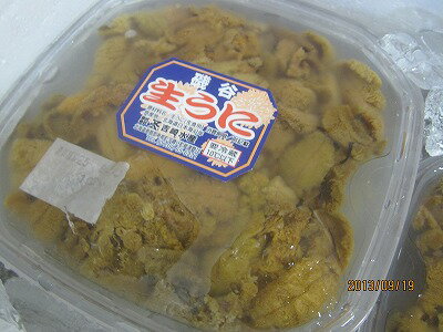 ウニ 生うに 【塩水ウニ 白身 ムラサキウニ 100g前後】「送料込み」 お花見 母の日 父の日 お中元 お歳暮 贈答 ギフト