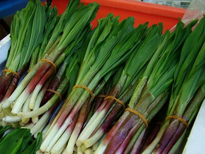 全国お取り寄せグルメ北海道その他の野菜No.30