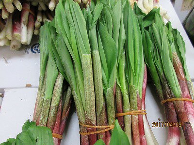 全国お取り寄せグルメ北海道その他の野菜No.19