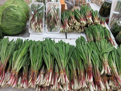 全国お取り寄せグルメ北海道その他の野菜No.24