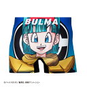 【ドラゴンボールZコラボ】 ブルマ パンツ HIPSHOP ヒップショップ ドラゴンボールZ アンダーパンツ メンズ ボクサーパンツ かっこいい..