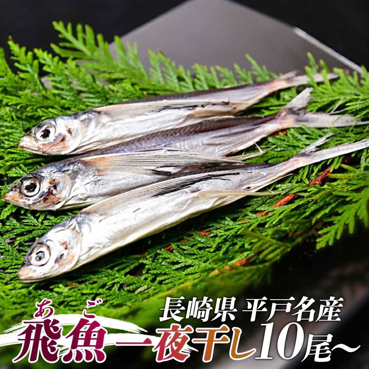 あご(飛魚)一夜干し 10尾×2P~ これは旨い! 平戸の特産品 朝食 肴 トビウオ おかず