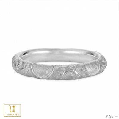 エヴァンゲリオン リング 指輪 EVANGELION 白き月 リング プラチナ 男女兼用 メンズ レディース 結婚指輪 マリッジリング ブライダルリング ジュエ...