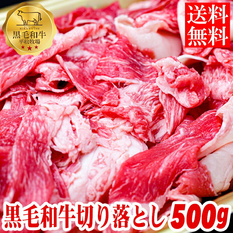 【送料無料】平松牧場の黒毛和牛切り落とし500g 黒毛和牛 和牛 国産 お肉 経産牛　お取り寄せ ステーキ 焼肉 BBQ すき焼き　しゃぶしゃぶ　 ギフト 食品 冷凍食品 牛肉 お中元 お歳暮 食品 肉　鹿児島県