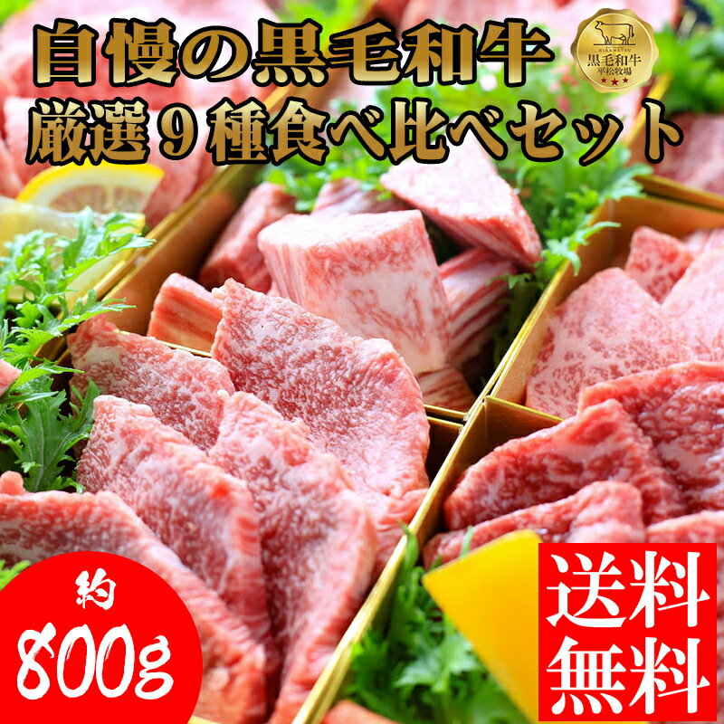 【楽天スーパーセール20%OFF送料無料】平松牧場自慢の黒毛和牛厳選9種食べ比べセット800g（焼肉用） 黒..